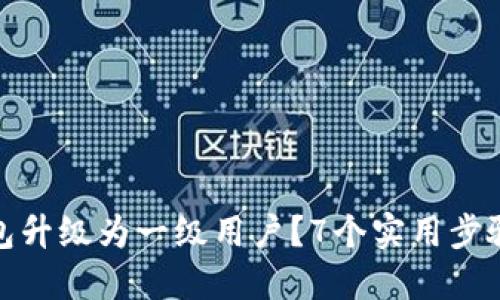 如何将数字钱包升级为一级用户?7个实用步骤让你轻松搞定