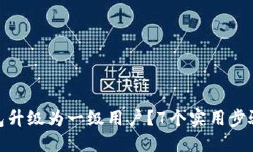 如何将数字钱包升级为一级用户?7个实用步骤让你轻松搞定