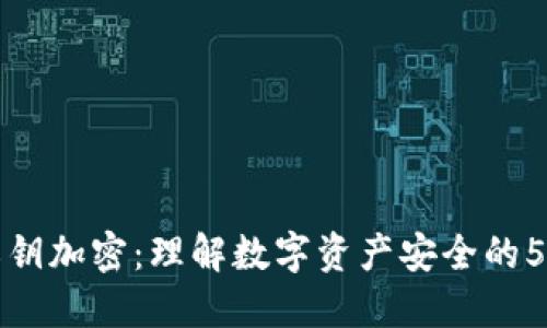 TP钱包私钥加密:理解数字资产安全的5个关键点