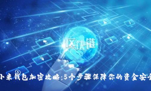 小米钱包加密攻略：5个步骤保障你的资金安全