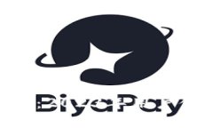 国建行APP数字钱包：2023年用户使用指