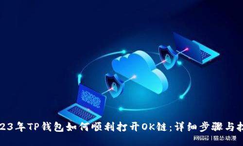 2023年TP钱包如何顺利打开OK链：详细步骤与技巧