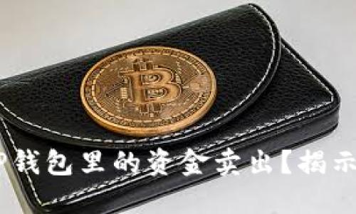 如何成功将TP钱包里的资金卖出？揭示5个实用步骤