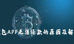 数字钱包APP无法还款的原因及解决方案