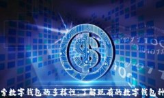 探索数字钱包的多样性：了解现有的数