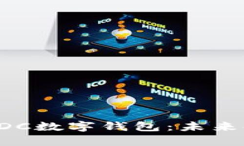 全面解析DDC数字钱包：未来金融的钥匙